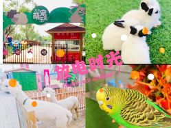 -萌宠亲子动物乐园(槐房万达店)