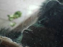 -秦皇岛野生动物园