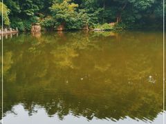 -人民公园(罗湖区)