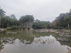 -中国科学院西双版纳热带植物园