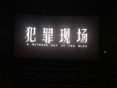 -CGV影城(黄河道ScreenX店)