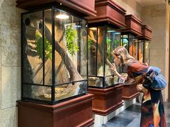 -帕帕拉兹宠物(亚洲旗舰店)