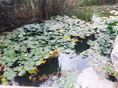 -燕郊植物园