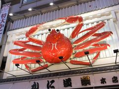 -蟹道乐(道顿堀本店)