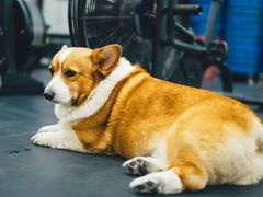 -Stud CrossFit(泰丰大厦店)