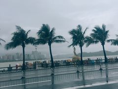 -益健海鲜大食坊(拱北口岸店)