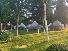 -九十九顶毡房(阜石路店)