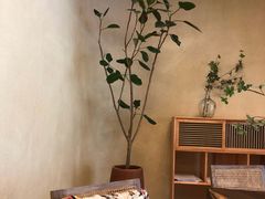 -白茶原·一片叶子