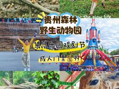 -贵州森林野生动物园