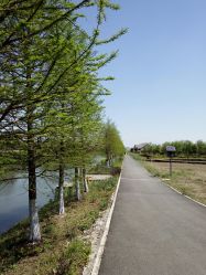 -水八仙生态园