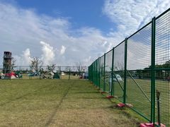 -春花秋色城市公园