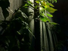 -来回·咖啡(天河南店)
