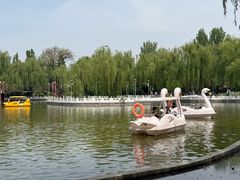 -丰台花园