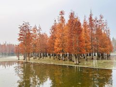 -白鹭·烟汀自然美学餐厅(白鹭湾店)