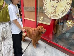 -清真·鸦儿李记·小馆(后海店)