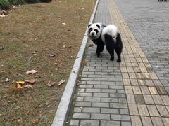 -万达影城(江桥万达广场IMAX店)