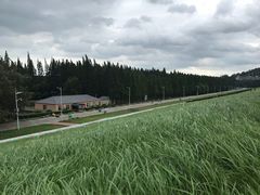 -南京金牛湖风景区