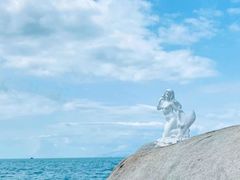 -巽寮湾