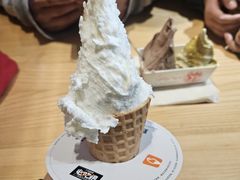-野人先生现做冰淇淋(北京顺义祥云小镇店)