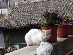 -何适山庄 ·可团建(水长城P2停车场店)