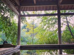 -腾冲和顺柏联酒店