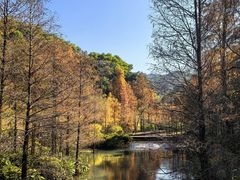 -云溪植物园