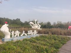-东郊湿地公园