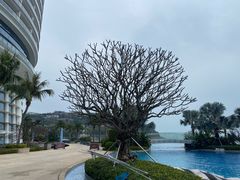 -深圳大梅沙京基洲际度假酒店