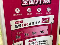 -Salud撒露欧洲冻酸奶(蓝色港湾店)