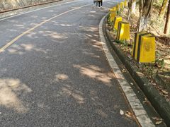 -大雁山风景区