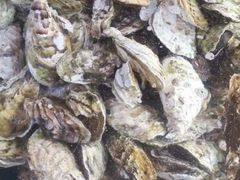 -日照大牌檔•小船海鲜(万平口店)