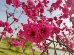 -河北省第三届（邢台园博园）园林博览会