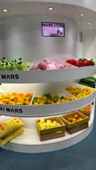 -MINI MARS KIDS CLUB亲子家庭中心(长宁天山店)
