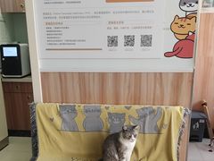 -瑞鹏宠物医院·内科·中兽医·骨科(苗圃店)