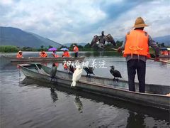 -大理洱源西湖景区
