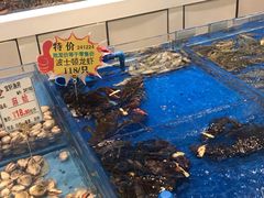 水产区-宝轩渔府·老字号海鲜·正宗津菜(水上店)