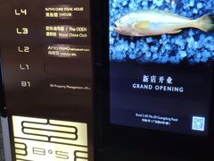 -外滩5号