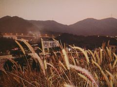 -白石龙音乐公园