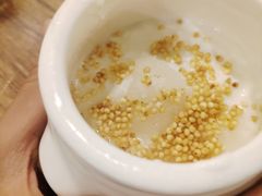 蒙古烤奶皮酸奶-格日勒阿妈蒙古厨房(大召店)