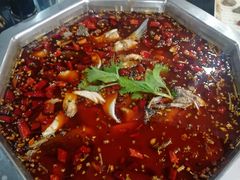 花椒鱼-王朝花椒鱼(杉板桥南一路店)