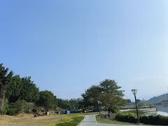 -风云岭森林公园