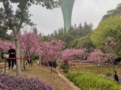 -狐尾山公园