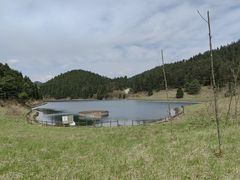 -武陵山森林公园