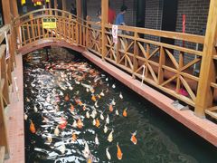 -侠成水上农庄(工业大道店)