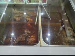 -鸿运兔·手撕烤兔(天府广场店)