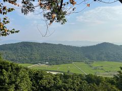 -风云岭森林公园