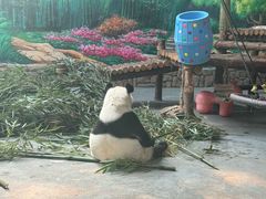 -青藏高原野生动物园
