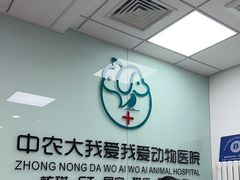 -中农大我爱我爱动物医院·核磁CT·猫病·24小时夜诊中心(石佛营店)