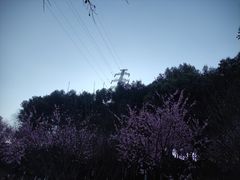 -重庆彩云湖湿地公园
