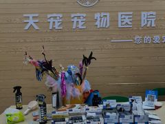 -天宠宠物医院24小时·急重症诊疗中心·全科·腔镜特色(和平分院)